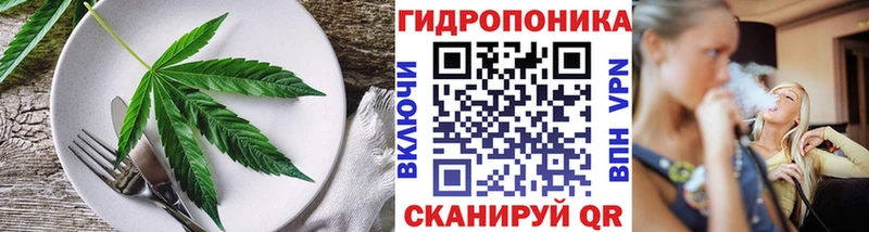 hydra зеркало  Заволжье  Cannafood марихуана  цены  