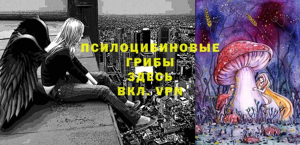 амф Нязепетровск
