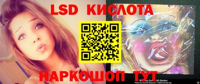стафф Дубна