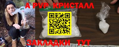 стафф Дубна