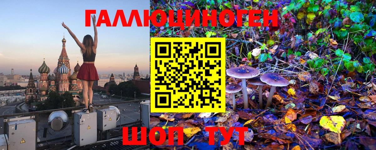 Галлюциногенные грибы Cubensis Заволжье