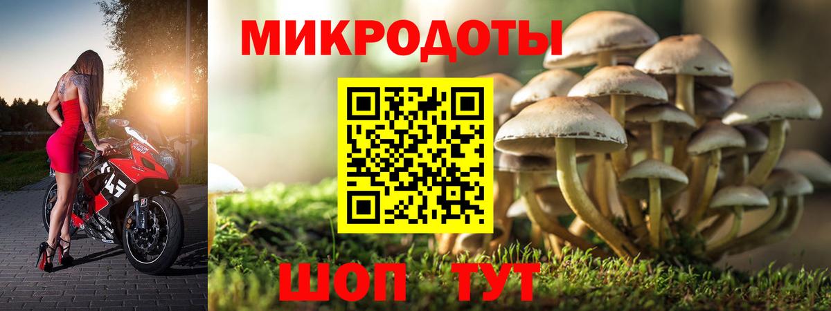 Заволжье  Псилоцибиновые грибы MAGIC MUSHROOMS  Псилоцибиновые грибы мицелий  Вход с VPN 